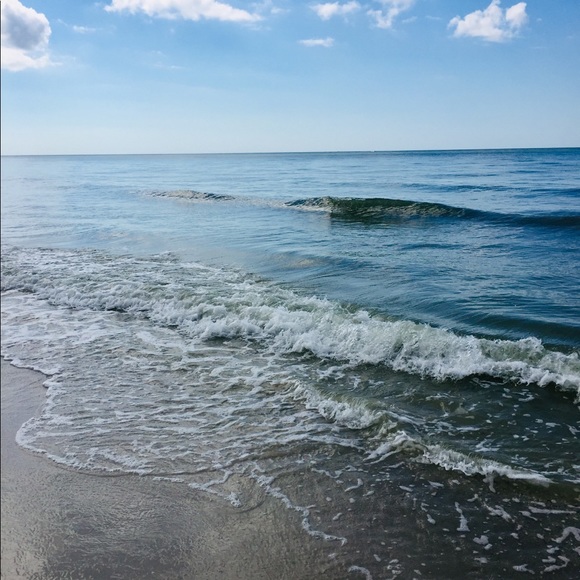 Meet your Posher, Donna - Picture 3 of 4